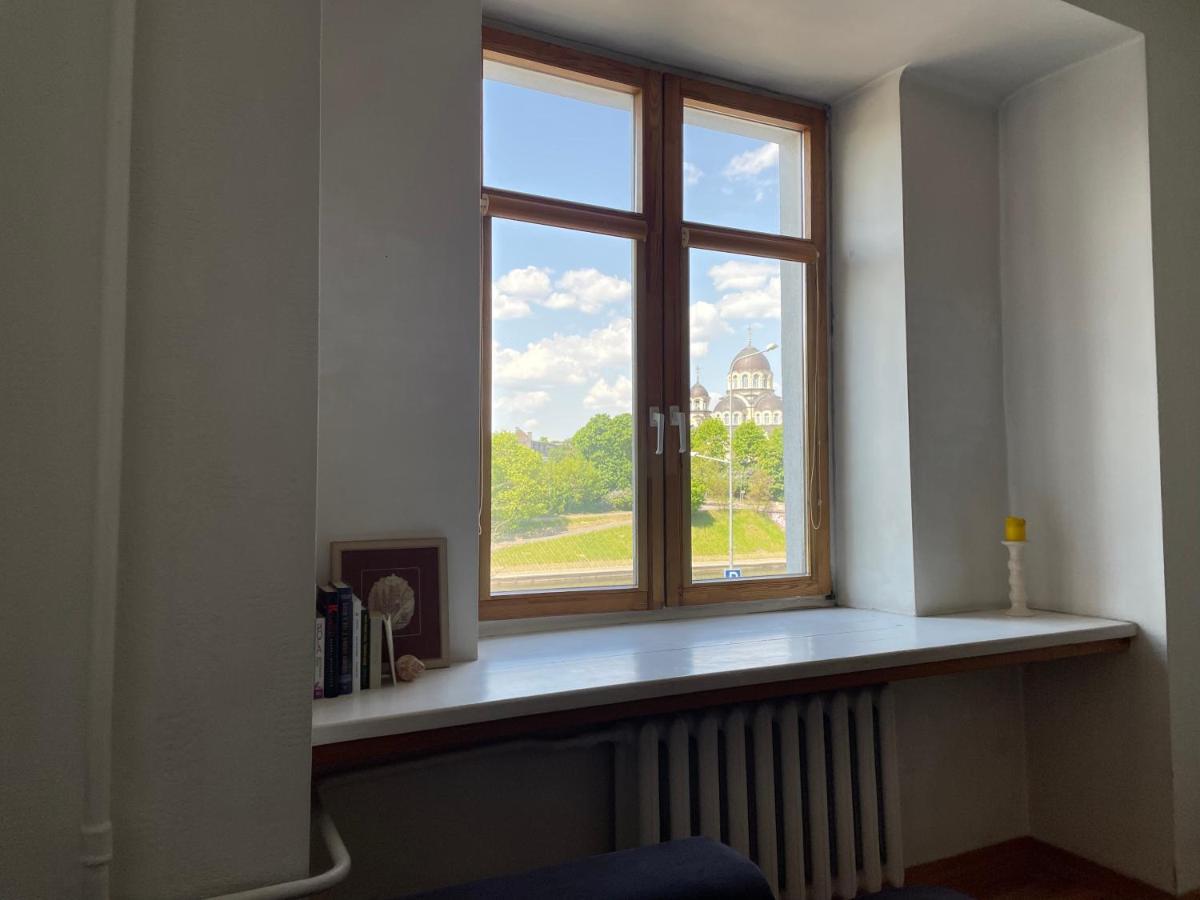 A Cozy Apartment With A Wonderful View Of The River In The Old Town Of VNO Eksteriør billede